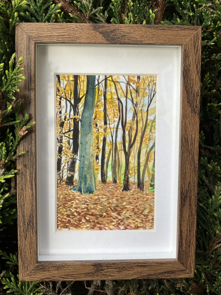 a watercolour of a forest in autumn